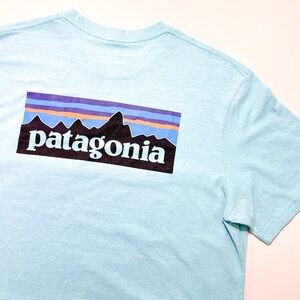 Patagonia Men's P-6 Logo Responsibili-Tee® Wispy Green Size Large Logo Pocket